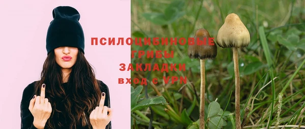 эйфоретик Армянск