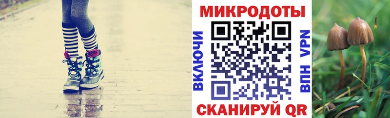 Галлюциногенные грибы мухоморы  Кировск 