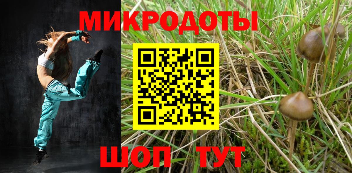 Кировск  Галлюциногенные грибы мицелий  Псилоцибиновые грибы мицелий  Вход с VPN 